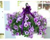 Petunia Hanging Basket 10"